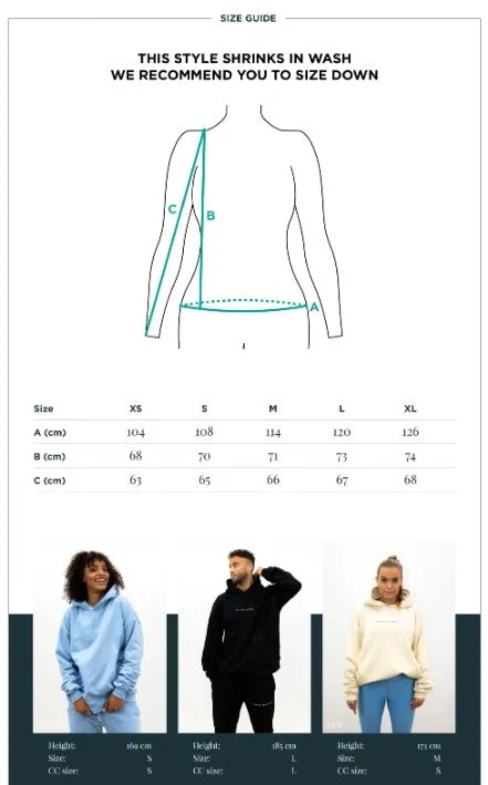 Earth Unisex Hoodie Sky